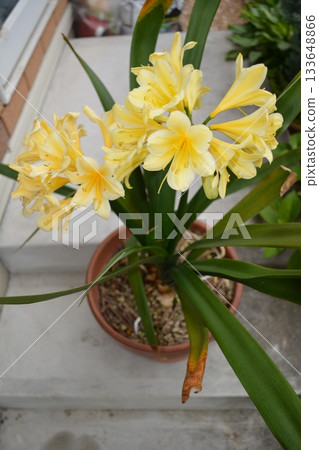 Kivana Kungsillan Kivana Kungsillan 133648866