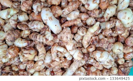 Raw White Curcuma Rhizomes Background. Close-up of Curcuma Mangga or Mango Ginger 133649425