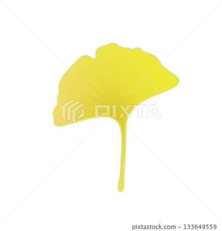 Yellow ginkgo leaf illustration Yellow ginkgo leaf illustration 133649559