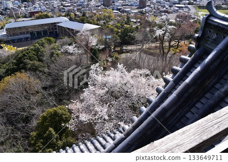 日本愛知縣犬山市：春天的犬山城，櫻花盛開。從國寶級城堡塔樓的頂層俯瞰周圍的城市景觀和自然風光。 133649711