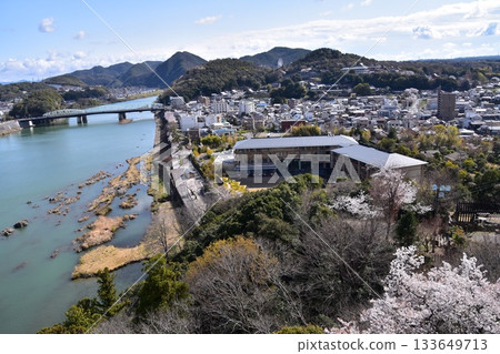 日本愛知縣犬山市：春天的犬山城，櫻花盛開。從國寶級城堡塔樓的頂層俯瞰周圍的城市景觀和自然風光。 133649713