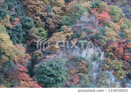 秋葉染紅了宇奈月溫泉的山脈 133650003