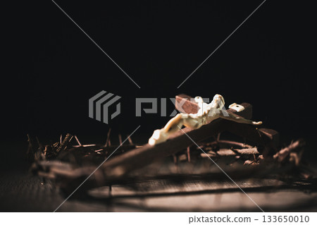 Closeup of Jesus Christ wearing crown of thorns during His crucifixion captures the suffering, sacrifice, and deep spirituality that define Easter and the core of Christian faith and religion. 133650010