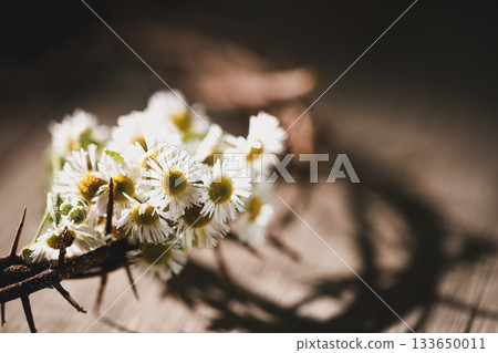 Closeup of Jesus Christ wearing crown of thorns during His crucifixion captures the suffering, sacrifice, and deep spirituality that define Easter and the core of Christian faith and religion. 133650011