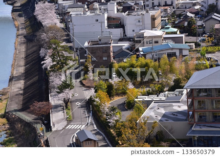 日本愛知縣犬山市：春天的犬山城，櫻花盛開。從國寶級城堡塔樓的頂層俯瞰周圍的城市景觀和自然風光。 133650379