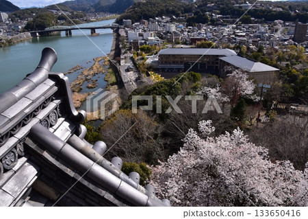 Inuyama City, Aichi Prefecture, Japan: Inuyama Castle in spring and cherry blossoms in full bloom. View from the top floor of the national treasure castle tower, the surrounding cityscape and nature. Inuyama City, Aichi Prefecture, Japan: Inuyama Castle in spring and cherry blossoms in full bloom. View from the top floor of the national treasure castle tower, the surrounding cityscape and nature. 133650416
