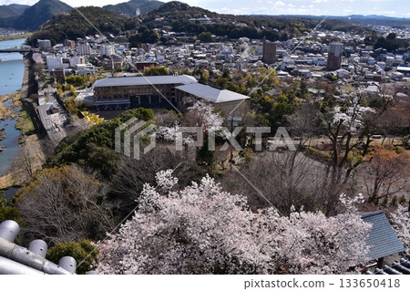 Inuyama City, Aichi Prefecture, Japan: Inuyama Castle in spring and cherry blossoms in full bloom. View from the top floor of the national treasure castle tower, the surrounding cityscape and nature. Inuyama City, Aichi Prefecture, Japan: Inuyama Castle in spring and cherry blossoms in full bloom. View from the top floor of the national treasure castle tower, the surrounding cityscape and nature. 133650418