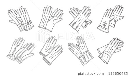 Collection of elegant vintage womens leather gloves. Line art Illustration. Collection of elegant vintage womens leather gloves. Line art Illustration. 133650485