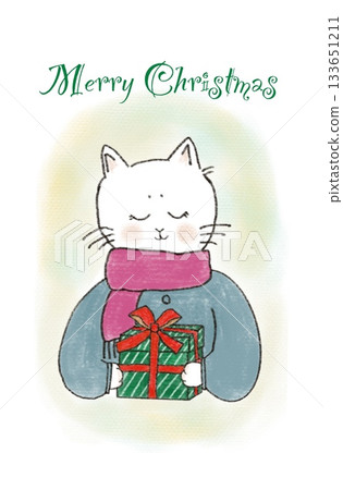 Cat holding a gift Cat holding a gift 133651211