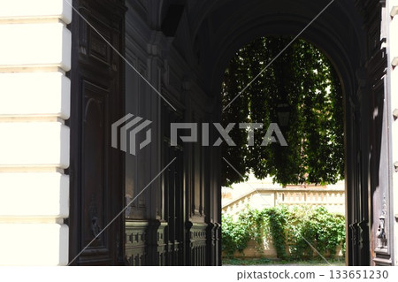 Beautiful area inside the building with trees. Beautiful area inside the building with trees. 133651230