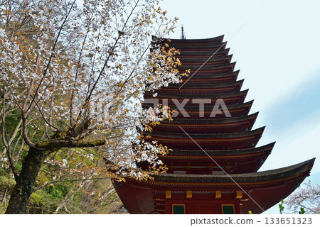 春天故事三晉神社 春天故事三晉神社 133651323