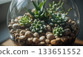 Close-up of DIY Succulent Terrarium with Decorative Stones 133651552