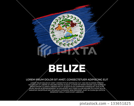 Flag of Belize. Belizean and Caribbean Culture. Vibrant, textured brushstroke effect style. Black background with copy space. Dramatic composition in negative space. Flag of Belize. Belizean and Caribbean Culture. Vibrant, textured brushstroke effect style. Black background with copy space. Dramatic composition in negative space. 133651825