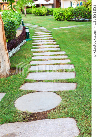 A path made of stone slabs on the lawn A path made of stone slabs on the lawn 133651852