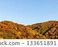 日本京都秋日山巒與蔚藍的傍晚天空 133651891