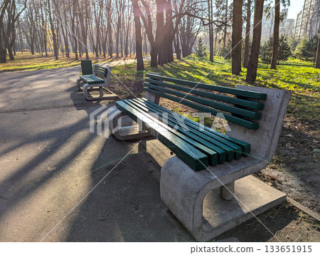 Wooden benches in a sunny autumn park Wooden benches in a sunny autumn park 133651915