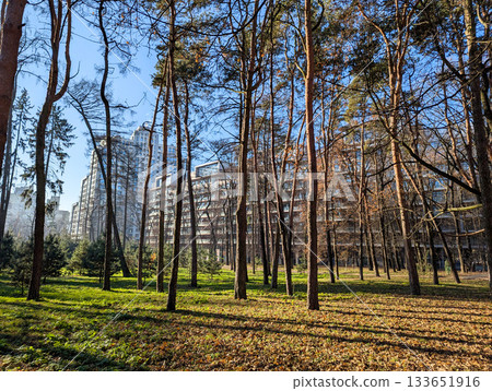 residential complex in an autumn park residential complex in an autumn park 133651916