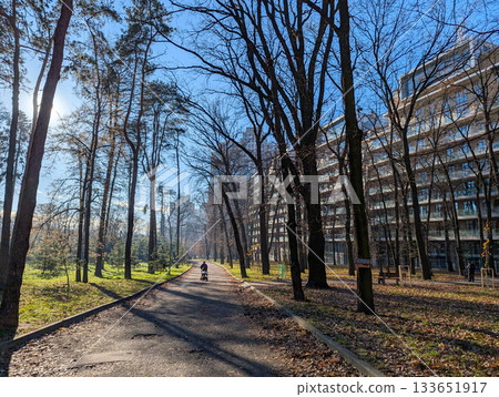 A road in an autumn park, next to a residential complex, pedestrians walking along the path A road in an autumn park, next to a residential complex, pedestrians walking along the path 133651917