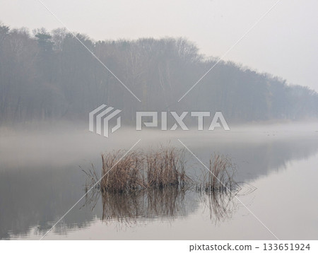 A river in fog and reeds on a cloudy autumn day A river in fog and reeds on a cloudy autumn day 133651924