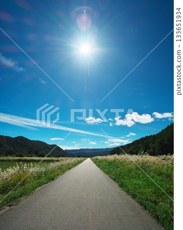 秋日天空下的信州甲斐田高原西野——一條道路兩旁長滿了銀草。 秋日天空下的信州甲斐田高原西野——一條道路兩旁長滿了銀草。 133651934