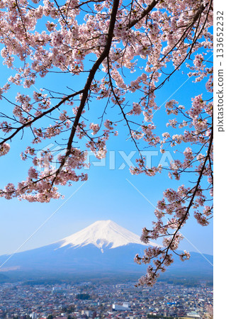 富士山,富士吉田市的春季櫻花 富士山,富士吉田市的春季櫻花 133652232