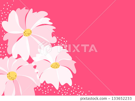 Large white translucent flowers on pink background. Fantasy floral vector pattern. Greeting card design of spring flower without text 133652233