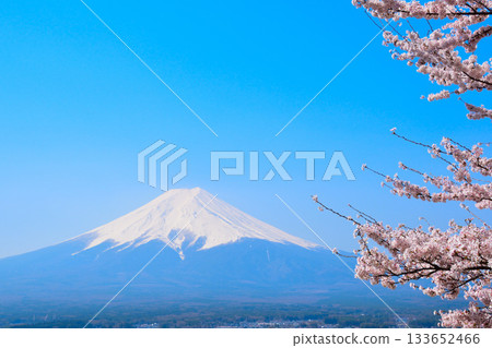 Spring Cherry Blossoms Mt. Fuji Spring Cherry Blossoms Mt. Fuji 133652466