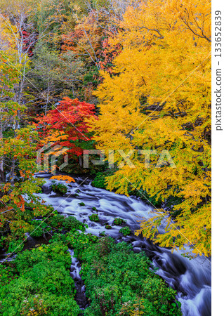 阿寒湖瀧見橋（阿寒摩週國立公園）的秋色和清澈溪流 133652839