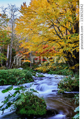 Colorful forests and clear flowing water | Akan-Mashu National Park, Hokkaido Colorful forests and clear flowing water | Akan-Mashu National Park, Hokkaido 133652842