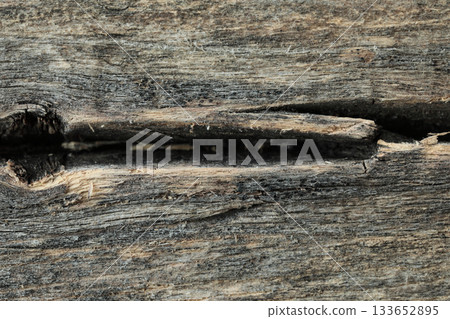 Macro texture of old dry wood with natural grain and cracks. Ideal background for design, woodworking, interior, craft, and creative projects Macro texture of old dry wood with natural grain and cracks. Ideal background for design, woodworking, interior, craft, and creative projects 133652895