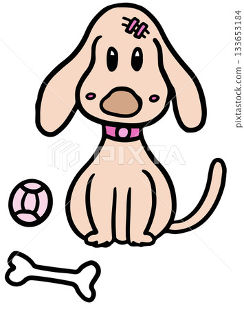 Cute hand drawn illustration of puppy with ball and bone for decoration, dog cartoon, characters, comic, pet shop, vet, adopt and rescue animal, foster home, shelter, house, home, park, yard, playtime Cute hand drawn illustration of puppy with ball and bone for decoration, dog cartoon, characters, comic, pet shop, vet, adopt and rescue animal, foster home, shelter, house, home, park, yard, playtime 133653184