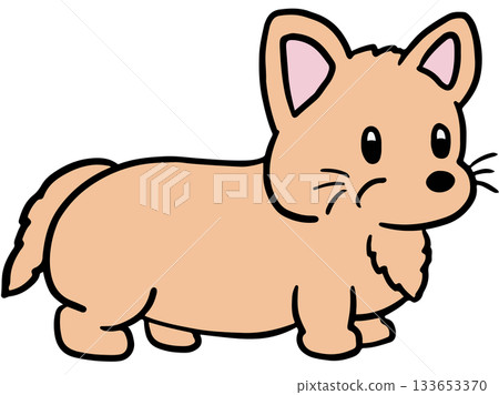 Cute hand drawn illustration of corgi puppy for decoration, dog cartoon, characters, comic, pet shop, vet, adopt and rescue animal, foster home, shelter, house, home, furniture, park, yard, playtime Cute hand drawn illustration of corgi puppy for decoration, dog cartoon, characters, comic, pet shop, vet, adopt and rescue animal, foster home, shelter, house, home, furniture, park, yard, playtime 133653370
