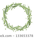 Round frame wreath of green pea pods and peas. Watercolor illustration hand drawn and isolated on a white background. Ideal for decorating postcards, invitations, posters, other polygraphy, tableware 133653378
