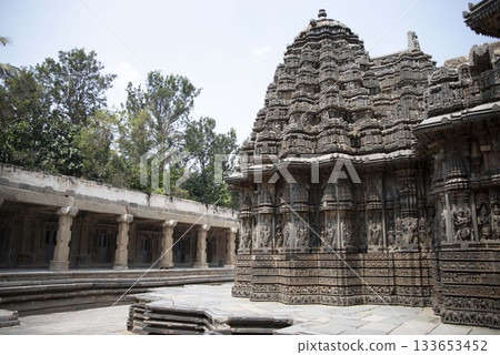 Somanathapura in Bengaluru 133653452