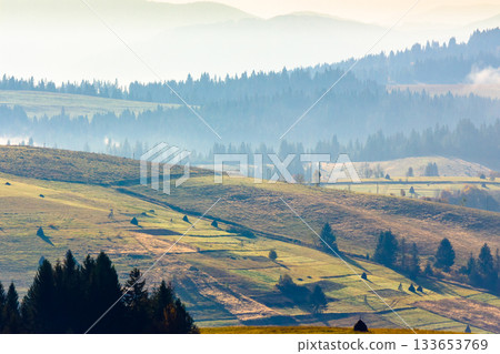 rolling hills with green meadows in hazy morning light. beautiful countryside mountain landscape of ukraine in autumn. picturesque valley in carpathian mountains. alpine rural scenery narrow telephoto 133653769