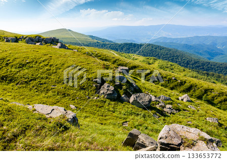 green alpine meadows in carpathian mountains of ukraine in summer. stones on grassy hills. popular travel destination for photo on a sunny morning. beautiful place for outdoor adventure under blue sky green alpine meadows in carpathian mountains of ukraine in summer. stones on grassy hills. popular travel destination for photo on a sunny morning. beautiful place for outdoor adventure under blue sky 133653772