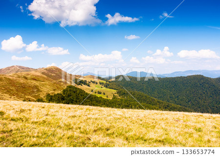 landscape with grassy meadow of krasna ridge on a sunny day. carpathian mountain scenery of ukraine in summer. transcarpathia travel background. beauty in nature of green alpine environment landscape with grassy meadow of krasna ridge on a sunny day. carpathian mountain scenery of ukraine in summer. transcarpathia travel background. beauty in nature of green alpine environment 133653774