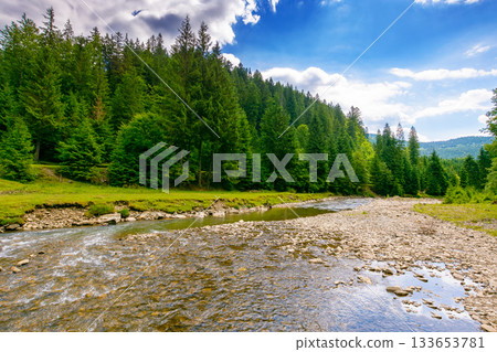 landscape with mountains, forest and a river in front. beautiful scenery in summer on a sunny day. water flowing through synevyr national park. natural background for ecology and sustainability landscape with mountains, forest and a river in front. beautiful scenery in summer on a sunny day. water flowing through synevyr national park. natural background for ecology and sustainability 133653781