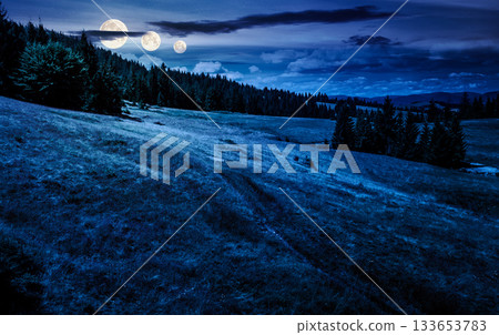 spruce forest on a grassy hillside at night. beautiful summer landscape in mountains in full moon light. countryside scenery for travel. business investment or abstract concepts spruce forest on a grassy hillside at night. beautiful summer landscape in mountains in full moon light. countryside scenery for travel. business investment or abstract concepts 133653783