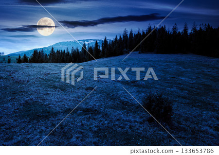 mountain landscape with spruce forest in spring at night. meadow on the hill on a in full moon light. distant range with peaks in snow under sky with clouds. beautiful countryside scenery 133653786