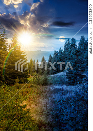 mountain landscape with evergreen forest in autumn. day and night time change concept. beautiful place in with coniferous trees on hillside under sky with sun and moon. duality and transition template mountain landscape with evergreen forest in autumn. day and night time change concept. beautiful place in with coniferous trees on hillside under sky with sun and moon. duality and transition template 133653800