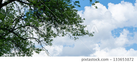 sky is blue and clear with no clouds. The sky is very bright and the sun is shining 133653872