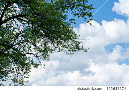 sky is blue and clear with no clouds. The sky is very bright and the sun is shining 133653874