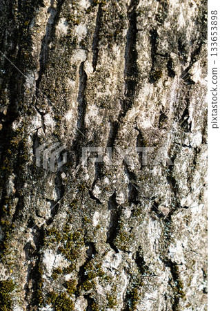 ligneous background, dark brown table surface. rustic wood texture. 133653898