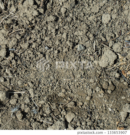 Close-up of a gray-black lava texture on the ground. Porous, cracked, and stony, perfect as a stock texture or photo background. Impression of molten rock. Close-up of a gray-black lava texture on the ground. Porous, cracked, and stony, perfect as a stock texture or photo background. Impression of molten rock. 133653907