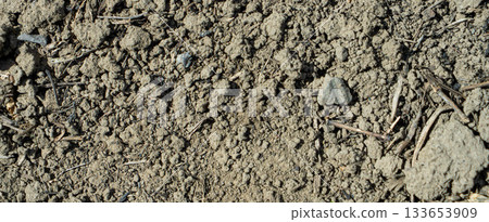 Close-up of a gray-black lava texture on the ground. Porous, cracked, and stony, perfect as a stock texture or photo background. Impression of molten rock. Close-up of a gray-black lava texture on the ground. Porous, cracked, and stony, perfect as a stock texture or photo background. Impression of molten rock. 133653909