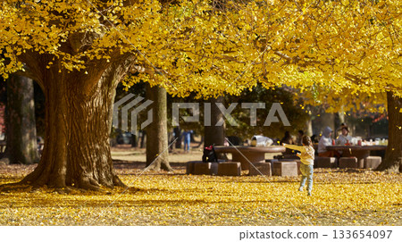 A child runs through the autumn square where ginkgo leaves are dancing 133654097