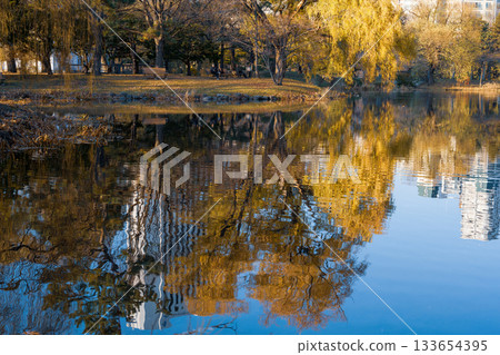 深秋的中島公園_8858 深秋的中島公園_8858 133654395