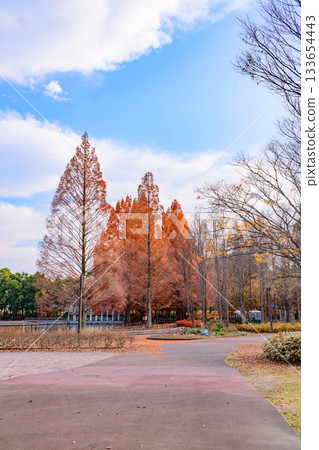 秋日漫步於樹城仙台的七北公園 秋日漫步於樹城仙台的七北公園 133654443