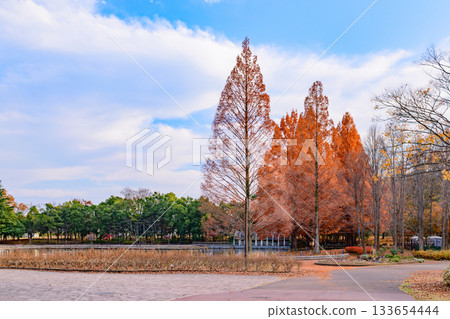 秋日漫步於樹城仙台的七北公園 秋日漫步於樹城仙台的七北公園 133654444